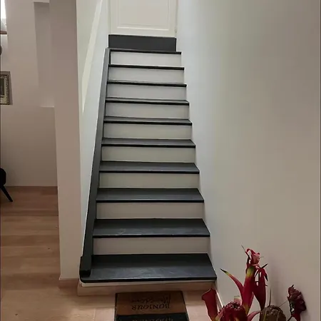Cosy Avec Clim Au Centre Apartman Montignac-Lascaux